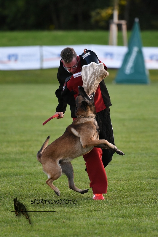 Impressionen 451.jpg